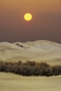 Franco Fontana art print