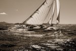 Cory Silken art print