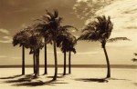 Dennis Kelly art print