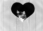 Bernd Schellhammer art print