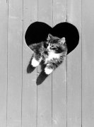 Bernd Schellhammer art print