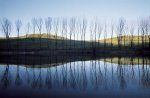 Franco Fontana art print