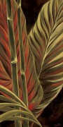 Yvette St. Amant art print