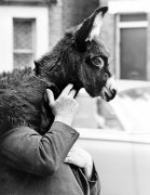 John Drysdale art print
