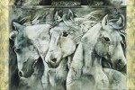 Annrika McCavitt art print