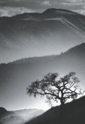 Jean Miele art print
