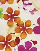 Sylvie Becquet art print