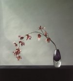 Robert Mapplethorpe art print