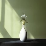Robert Mapplethorpe art print