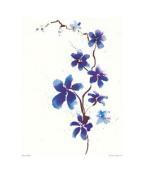 Olivia Wade art print