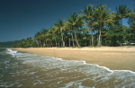 Palmy beach in Australia giclee art print