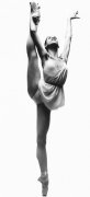 Howard Schatz art print