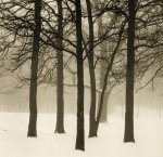 Paul Kozal art print