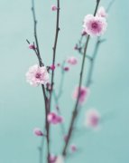 Natalie Lane art print