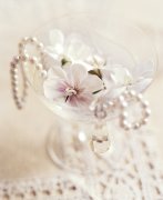 Lina Ricci art print