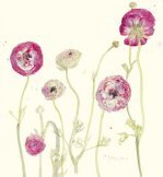 Matyia Ross art print