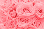 Rosseforp art print