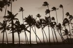 Michael Neubauer art print