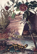 British Library art print