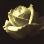 Jane Ann Butler art print