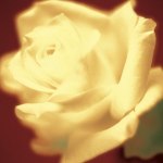 Jane Ann Butler art print