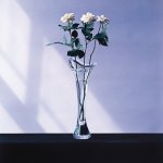 Robert Mapplethorpe art print