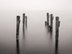 Tom Weber art print