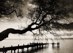 Harald Thiessen art print