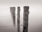 Tom Weber art print