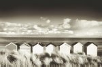 Rod Edwards art print
