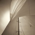 Michael Kahn art print