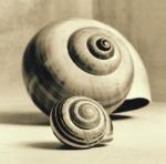 Graeme Harris art print