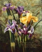 Meng art print