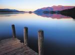 David Tarn art print