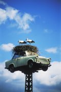 Heinz Krimmer art print