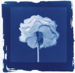 David Chow art print