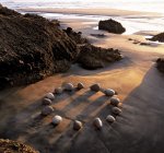 Martin Hill art print