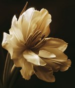 Charles Britt art print