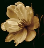 Charles Britt art print