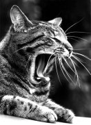 Harald Thiessen art print