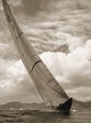Michael Kahn art print