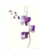 Olivia Wade art print
