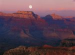 David Muench art print