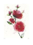 Olivia Wade art print