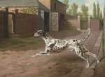 Philip Reinagle art print