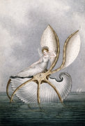Amelia Jane Murray Lady Oswald art print