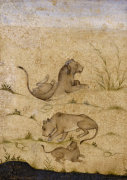 A Family Of Lions. Mughal, C. 1620 giclee art print