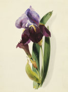 Thomas Holland art print