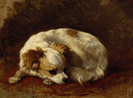 Henriette Ronner-Knip art print