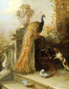 Johann-Rudolf  Koller art print